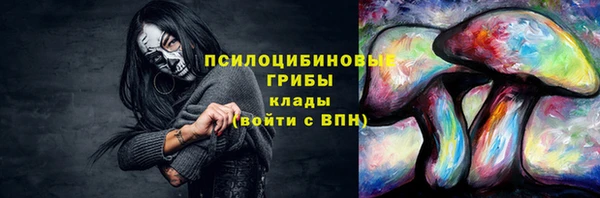 стафф Алексин