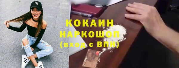 стафф Алексин