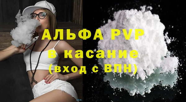стафф Алексин